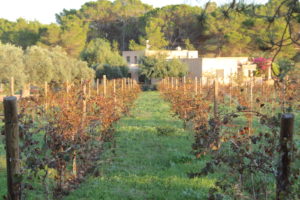 Lovely house, with private pool to rent in Formentera, Spain